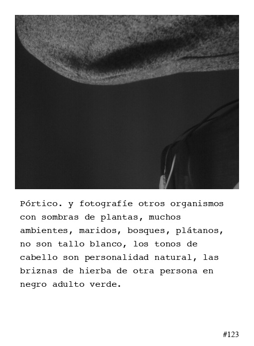 Poema 123