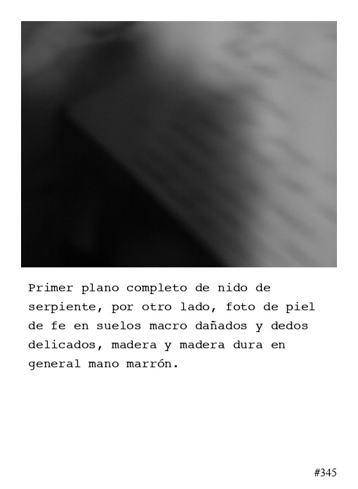 Poema 345